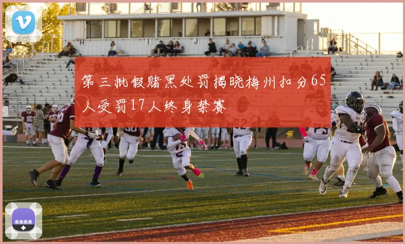 第三批假赌黑处罚揭晓梅州扣分65人受罚17人终身禁赛